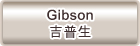 維修GE   Gibson吉普生服務站